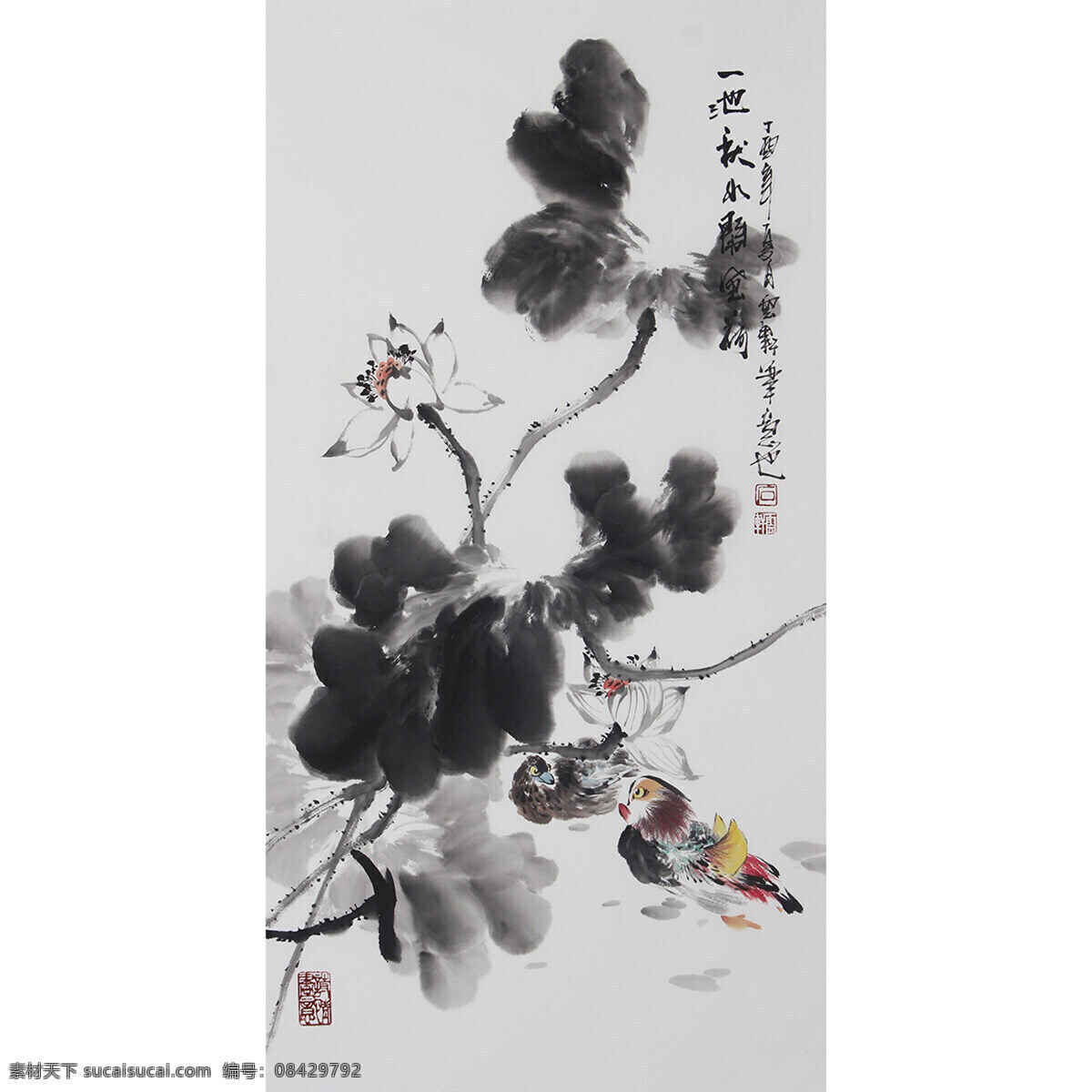 写意荷花 水墨 水彩 荷花 花鸟 工笔 文化艺术 绘画书法