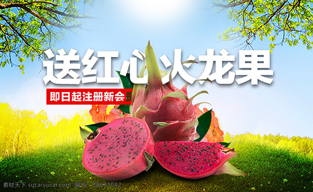 火龙果 促销 海报 分层 水果海报 水果促销 火龙果海报 草坪 树枝 注册会员海报 阳光 白色