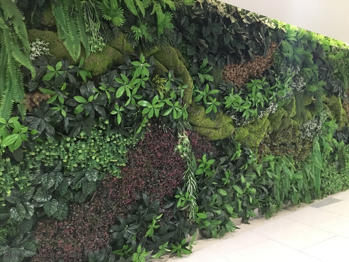 绿植墙 植物 绿植 绿墙 装饰 植被墙 装饰墙 背景墙 绿色植物 绿色植物墙 文化艺术 传统文化
