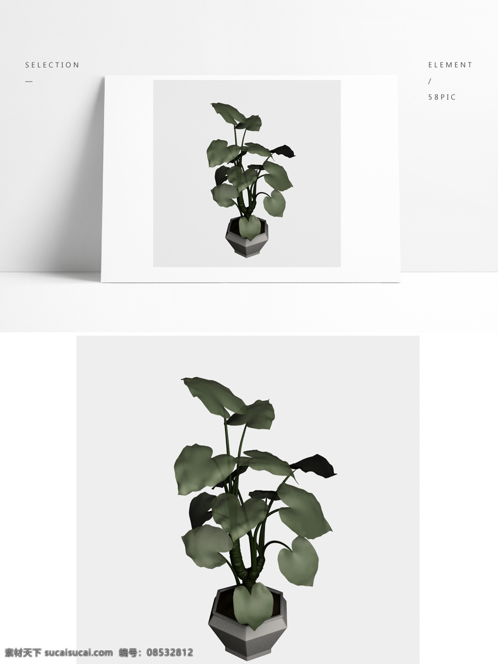 精细 植物 树木 模型 植物模型 绿植 盆景