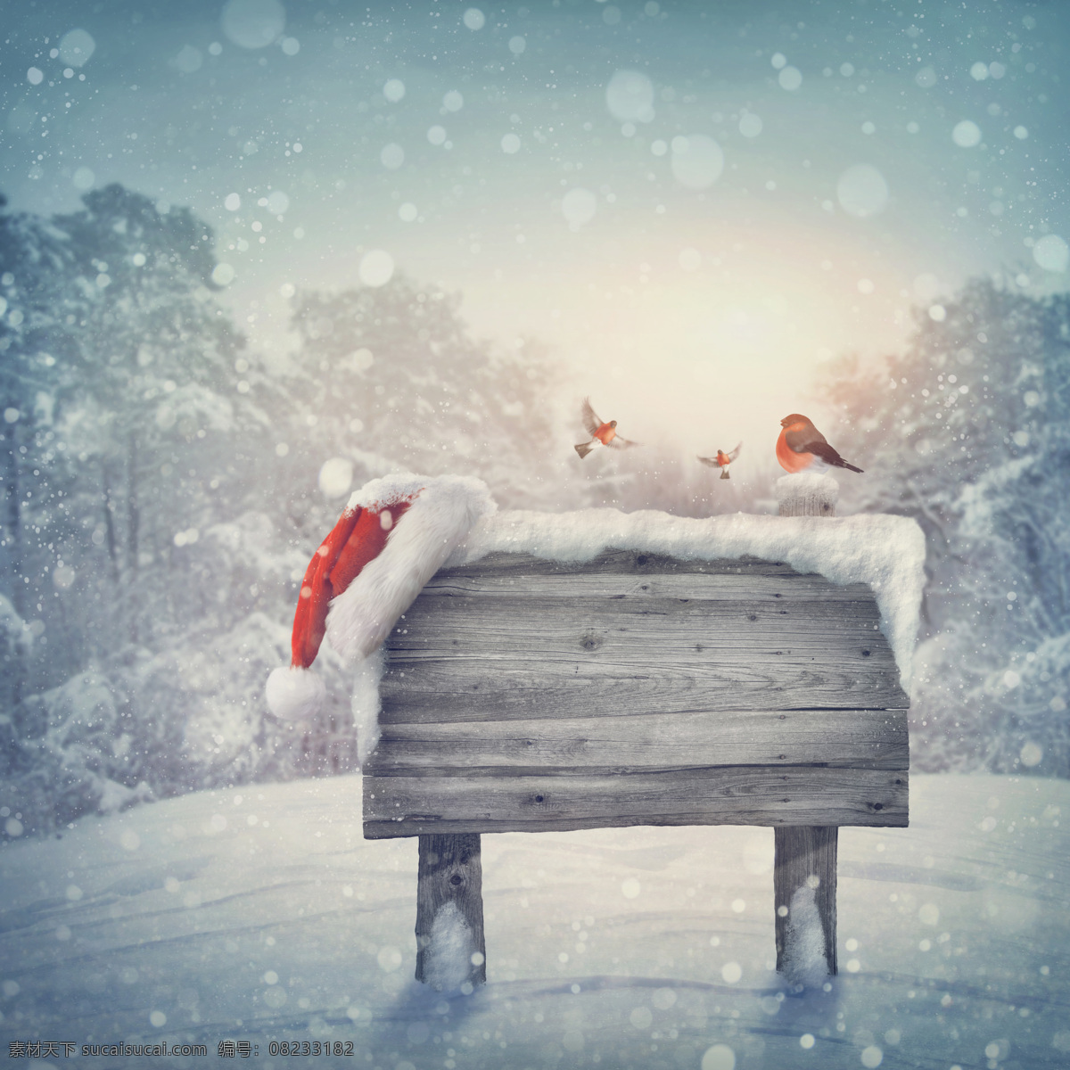 冬日 雪地 中 木板 雪花 小鸟 圣诞节 节日素材 节日庆典 生活百科