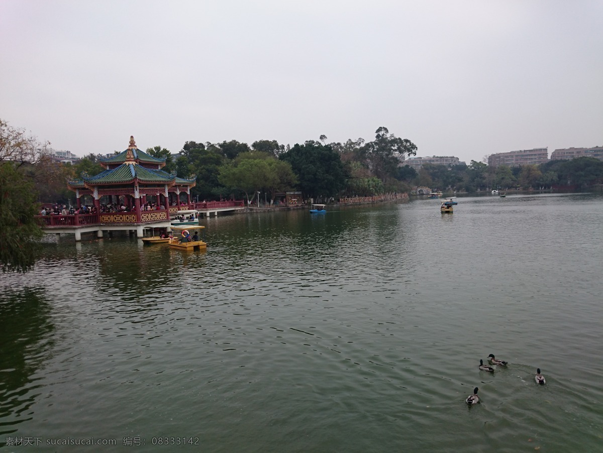 九曲桥 玉鉴湖 鸭子 汕头市 中山公园 景区 建筑节日风景 旅游摄影 国内旅游