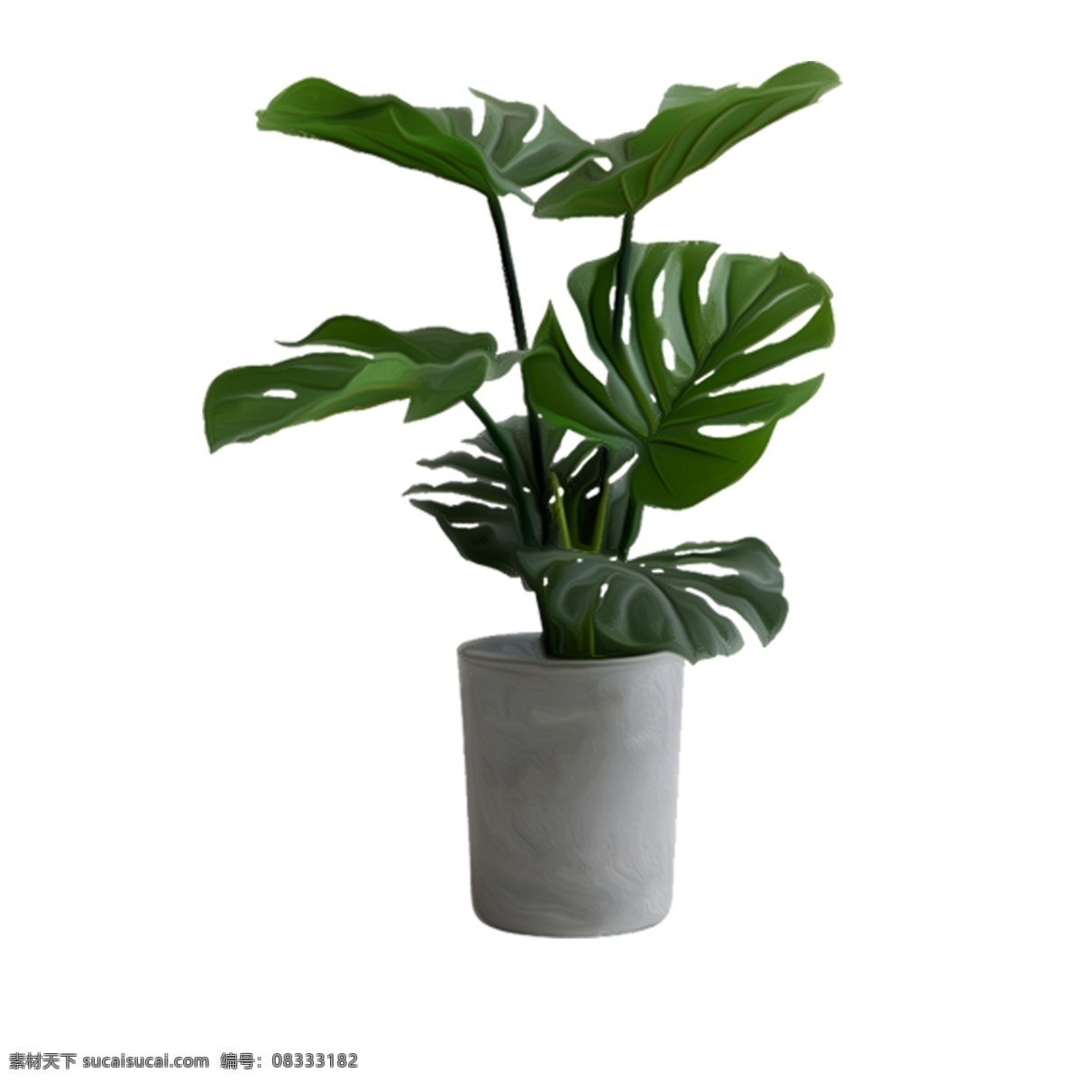 卡通 盆栽 鲜花 盆栽植物 室内绿植 植物盆栽 家居装饰 卡通插图 创意卡通下载 插图 png图下载