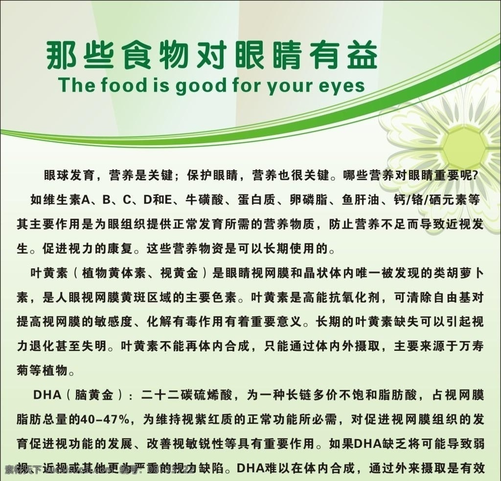 那些 食物 有益 眼睛 海报 宣传 活动 模 有益眼睛的食 保护眼睛 那些食物有益 物 眼睛海报免费 有益眼睛