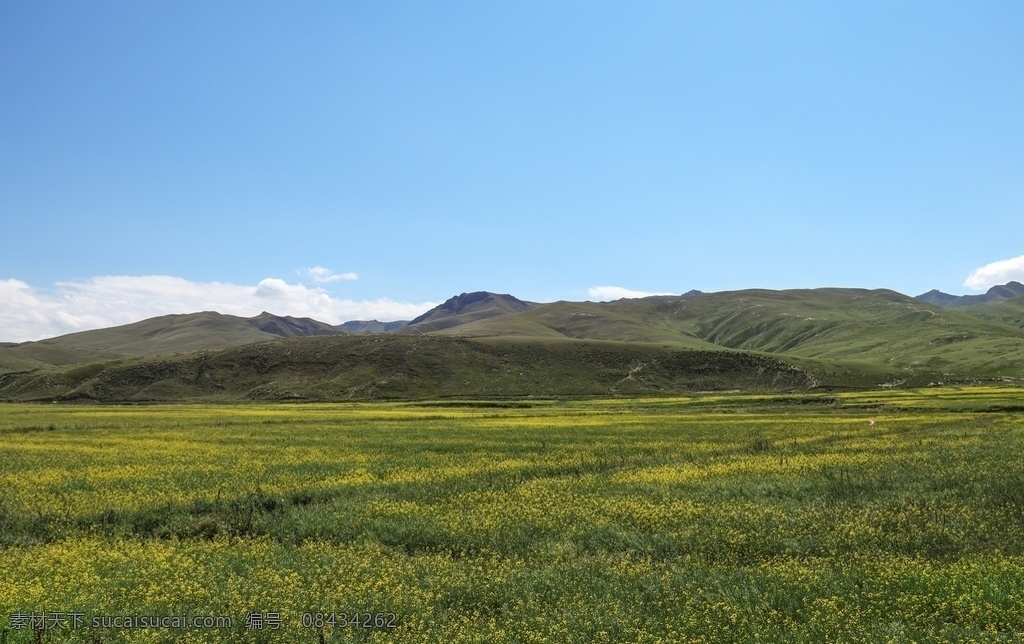 西北的草场 西北 草原 土山 自然 草场 自然景观 自然风景