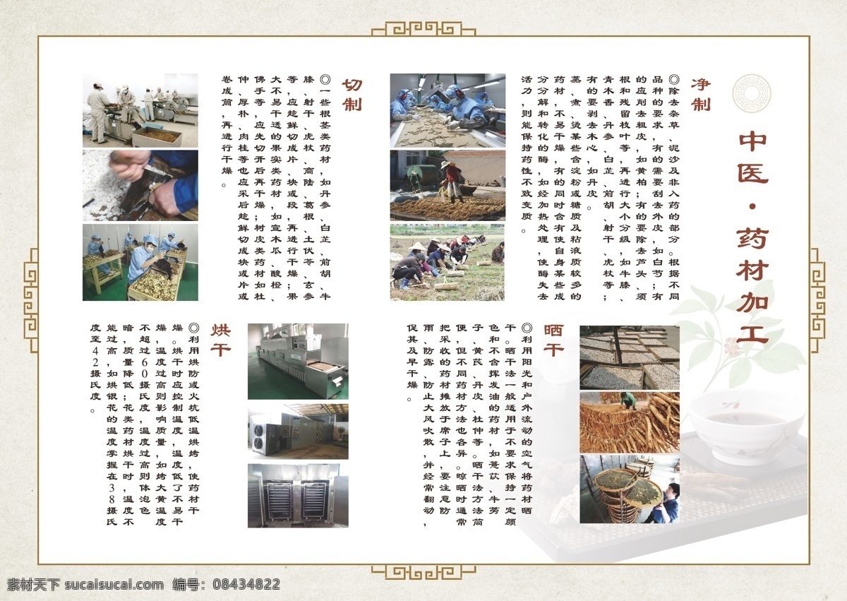 中医药材加工 中医 药材加工 中医文化 药材炮制 中药材
