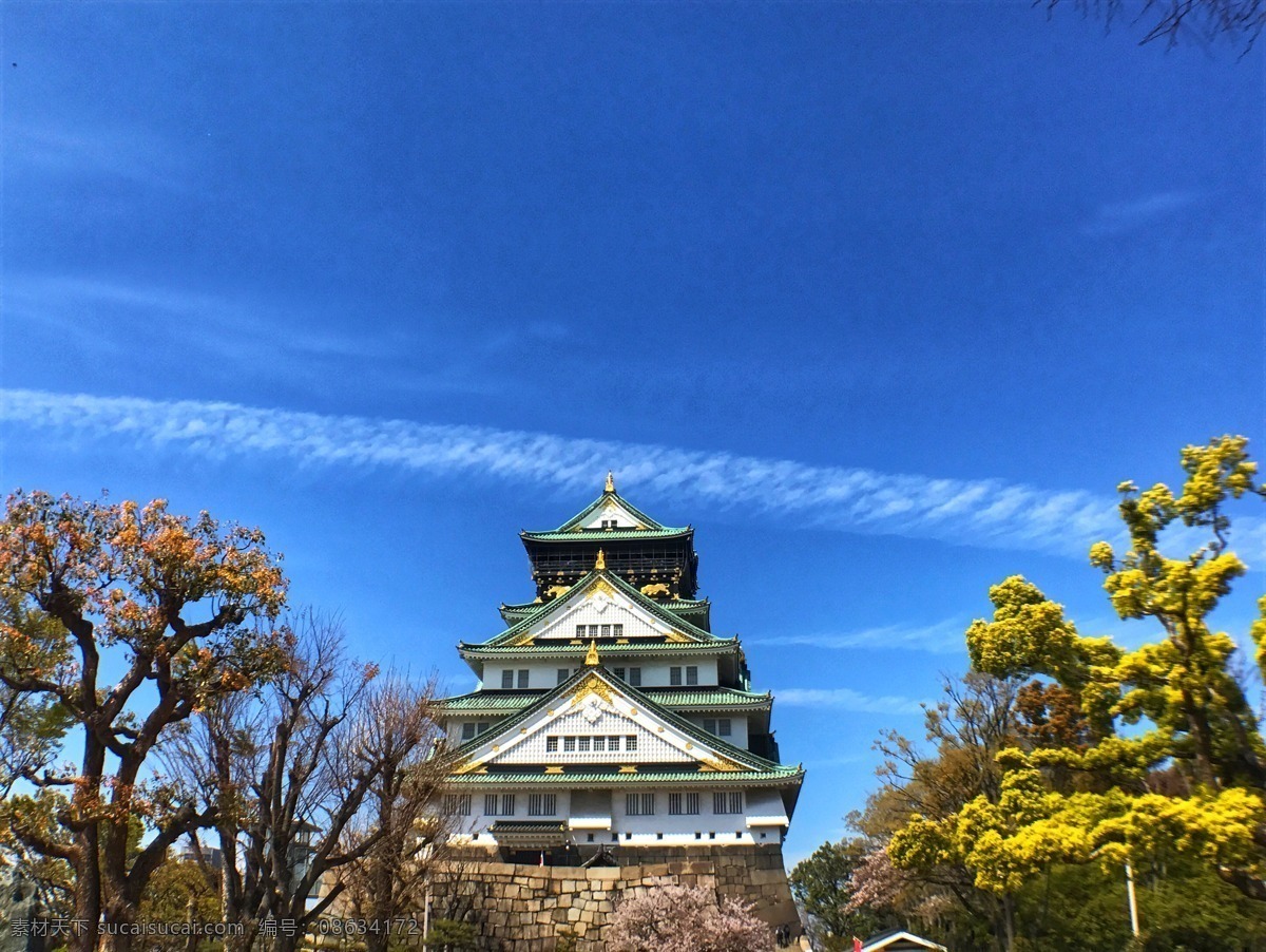 日本 大阪 天 守 阁 天守阁 古建筑 旅游 旅游摄影 国外旅游