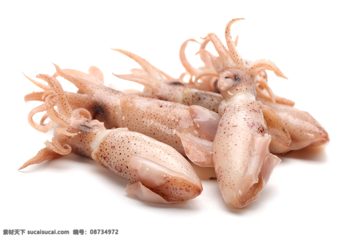 唯美 动物 可爱 生物 海洋动物 章鱼 生物世界 海洋生物