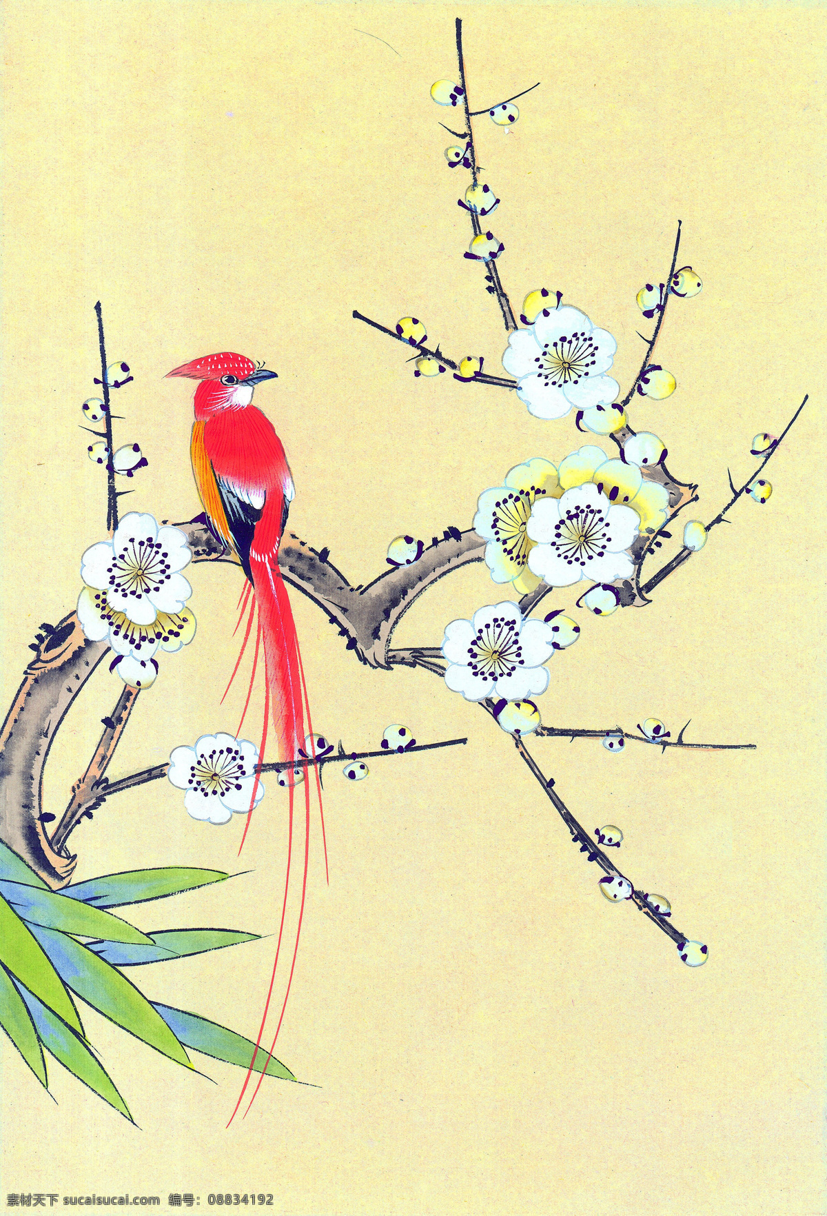国画花卉 花卉 白描 工笔花卉 工笔画 国画素材 文化艺术 绘画书法