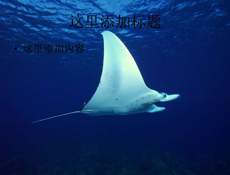 电脑 风景 封面 海底 世界 背景图片 ppt封面 风景图片 高清 海底世界 自然风景 模板