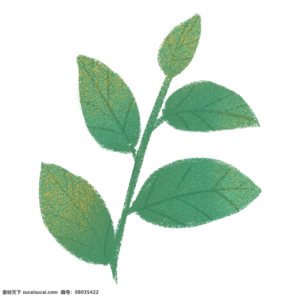 小 清新 绿色 叶子 免 抠 清雅 装饰图案 免扣素材 透明素材 植物
