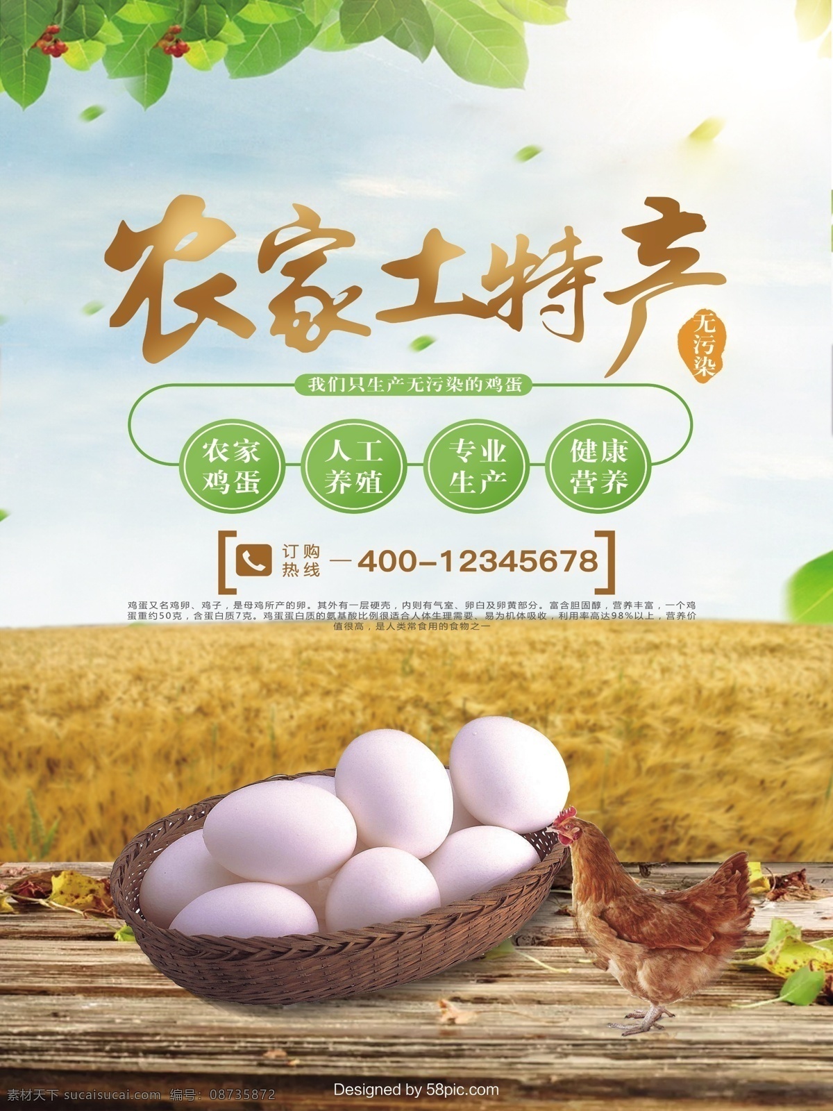 创意 合成 美食 鸡蛋 海报 土特产 人工养殖 促销 健康 鸡 秋天