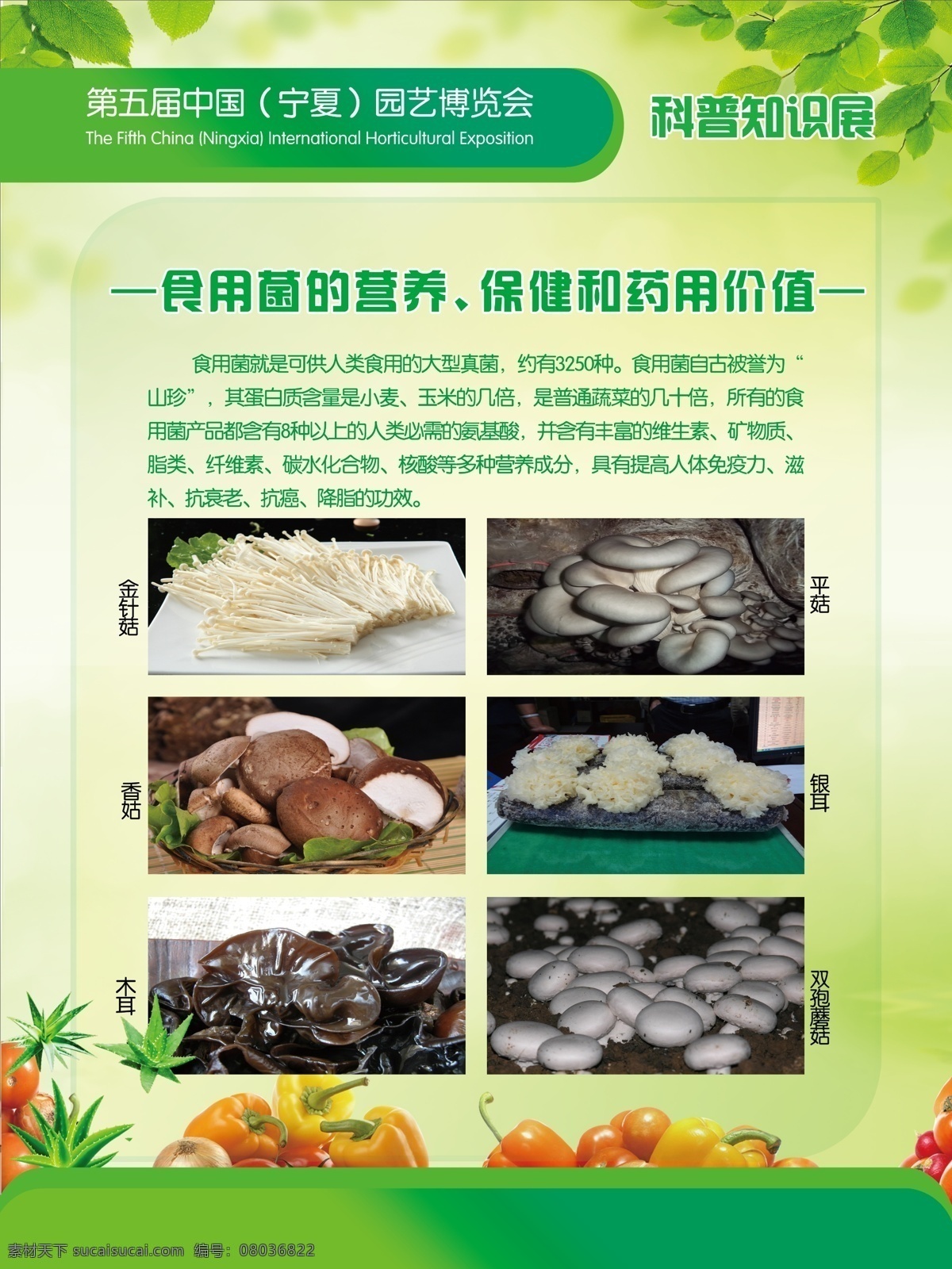 广告设计模板 金针菇 绿色模板 木耳 香菇 银耳 源文件 展板模板 食用菌 展板 模板下载 食用菌展板 宁夏 园艺 博览会 营养 价值 保健价值 药用价值 平菇 双胞蘑菇 模板 科普知识展 其他展板设计