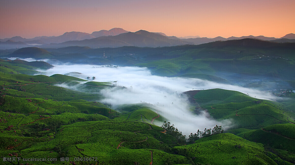 大气 地理 风景 耕种 国外旅游 环保 露水 旅游 大雾下的庄园 庄园 农业 更重 雾气 清晨 照样 植物 绿色 地质 旅游摄影 矢量图 日常生活