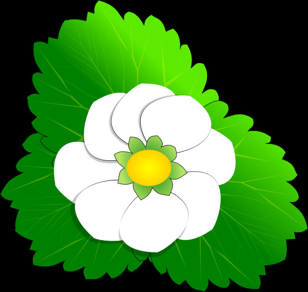 草莓 草莓花 花 花剪辑 剪辑 草莓花剪贴画 矢量草莓花夹 草莓花剪辑 剪辑艺术花 艺术 自由 花剪贴画 无花 剪贴 画 图像 矢量 矢量图 花纹花边