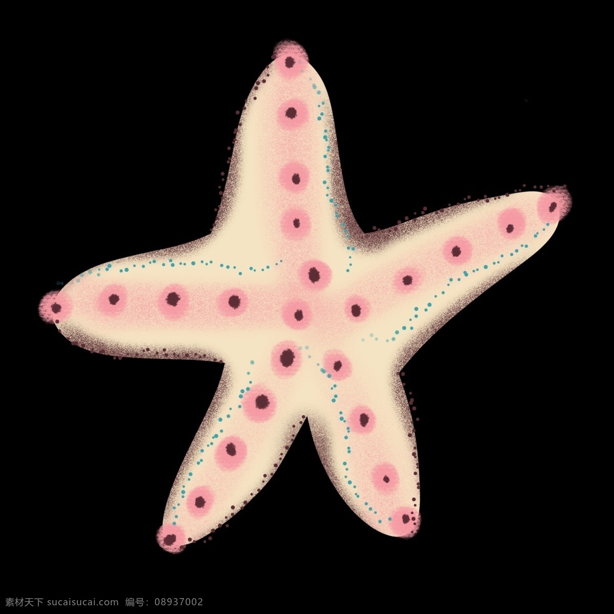 粉色 斑点 海鲜 图案 海星