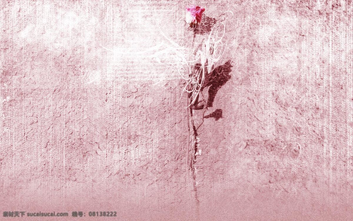 墙缝 中 蔷薇 背景 非主流 坚强 裂缝 玫瑰 墙壁 背景图片