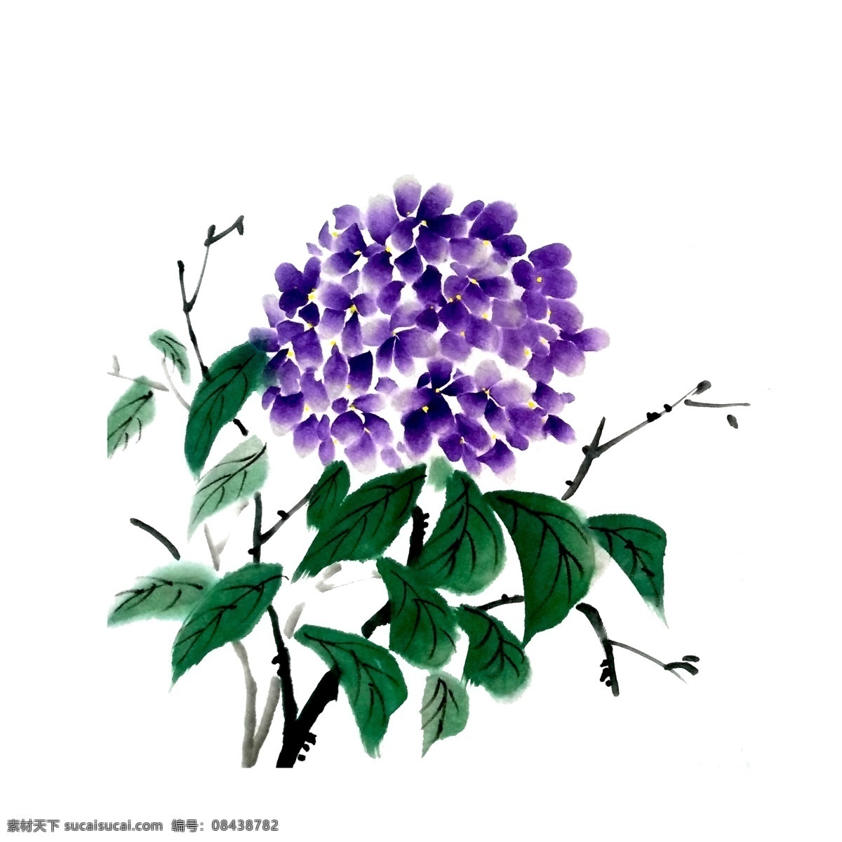 水墨 国画 紫色 绣 球花 紫阳 花 绣球花 紫阳花 桃色 玫红 粉色 花团 朦胧 盛开 鸟 粉色装饰 水彩 春游 春天 春光 烂漫 装饰 春日 春花 植物 花枝 可爱