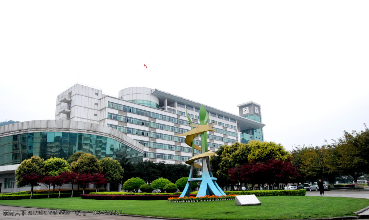 草 花 建筑摄影 建筑园林 菊花 农业 四川雅安 四川农业大学 川农大 四川农学院 摄影文件 非洲菊 植物 川农本校区 装饰素材 园林景观设计