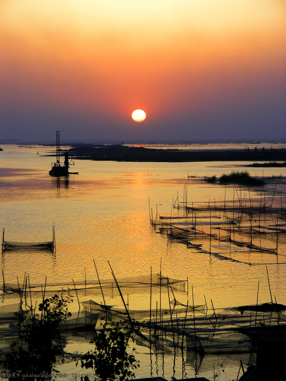 夕阳 下 微山湖 芦苇 小船 打渔 自然风景 自然景观