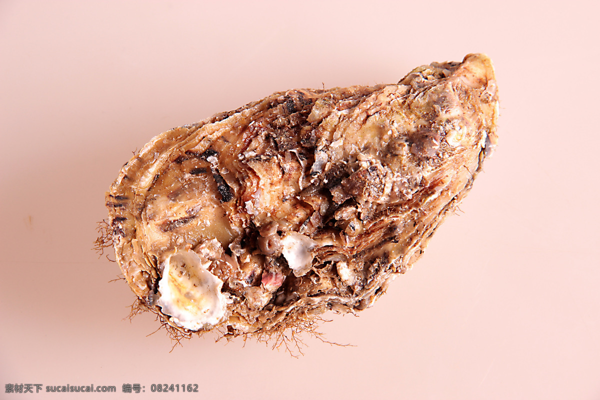 牡蛎 生蚝 蛎蛤 生吃生蚝 烤生蚝 海蛎子 烤牡蛎 海洋牛奶 冰岛鲜生蚝 新鲜生蚝 海蛎子皮 胶东生蚝 胶东海蛎子 拍摄 餐饮美食 食物原料