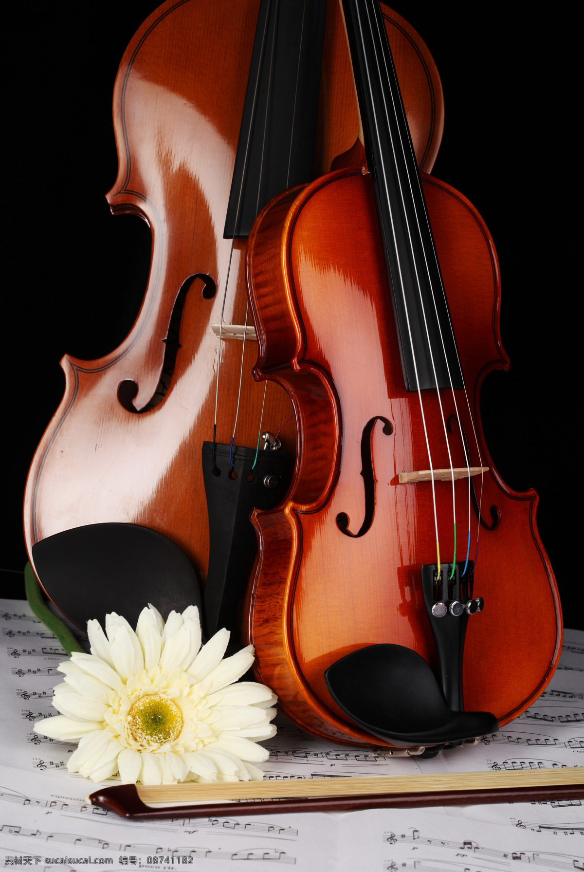 小提琴 大提琴 高清图片素材 菊花 乐谱 文化艺术 舞蹈音乐 音符 高清小提琴 中提琴 psd源文件