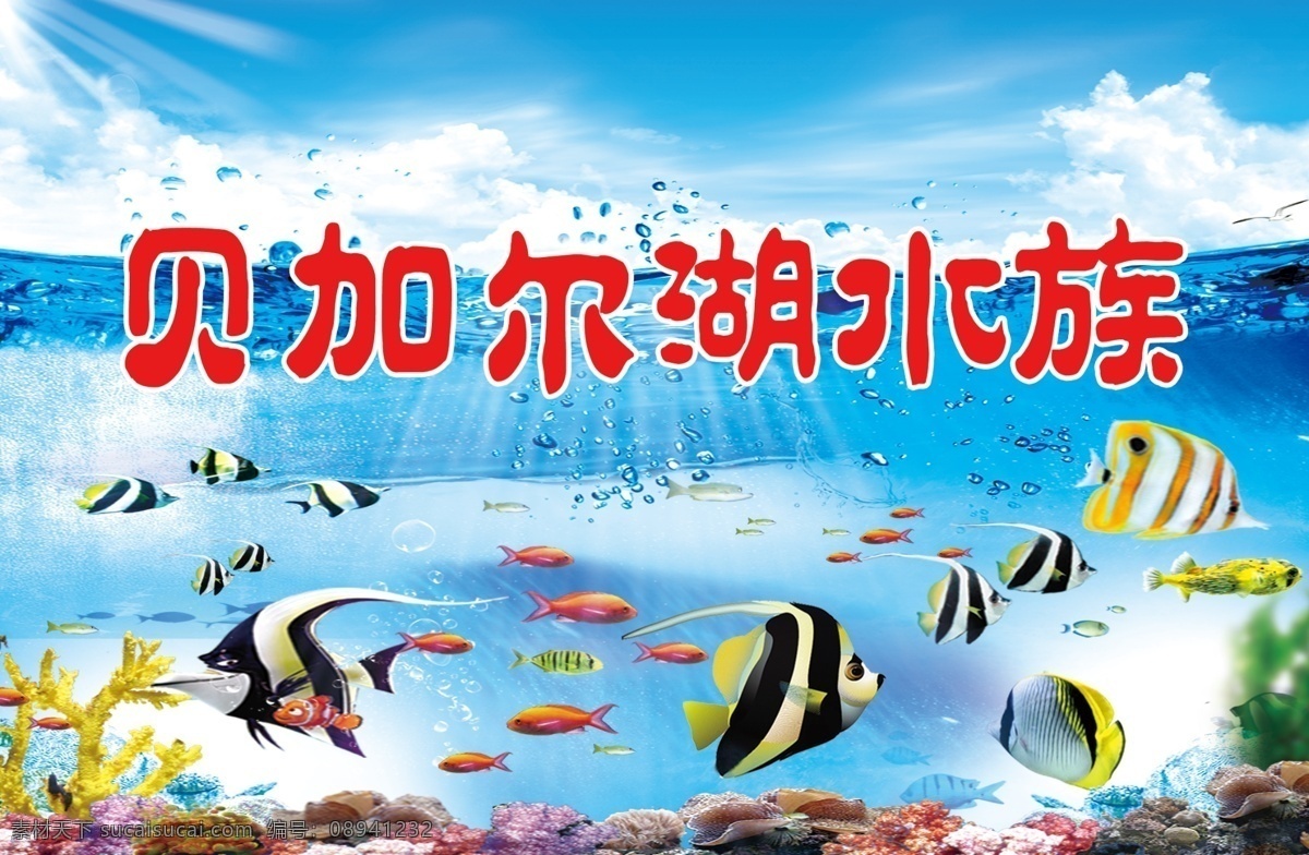 水族海报 鱼海报 海底世界 鱼 各种鱼 海洋 分层