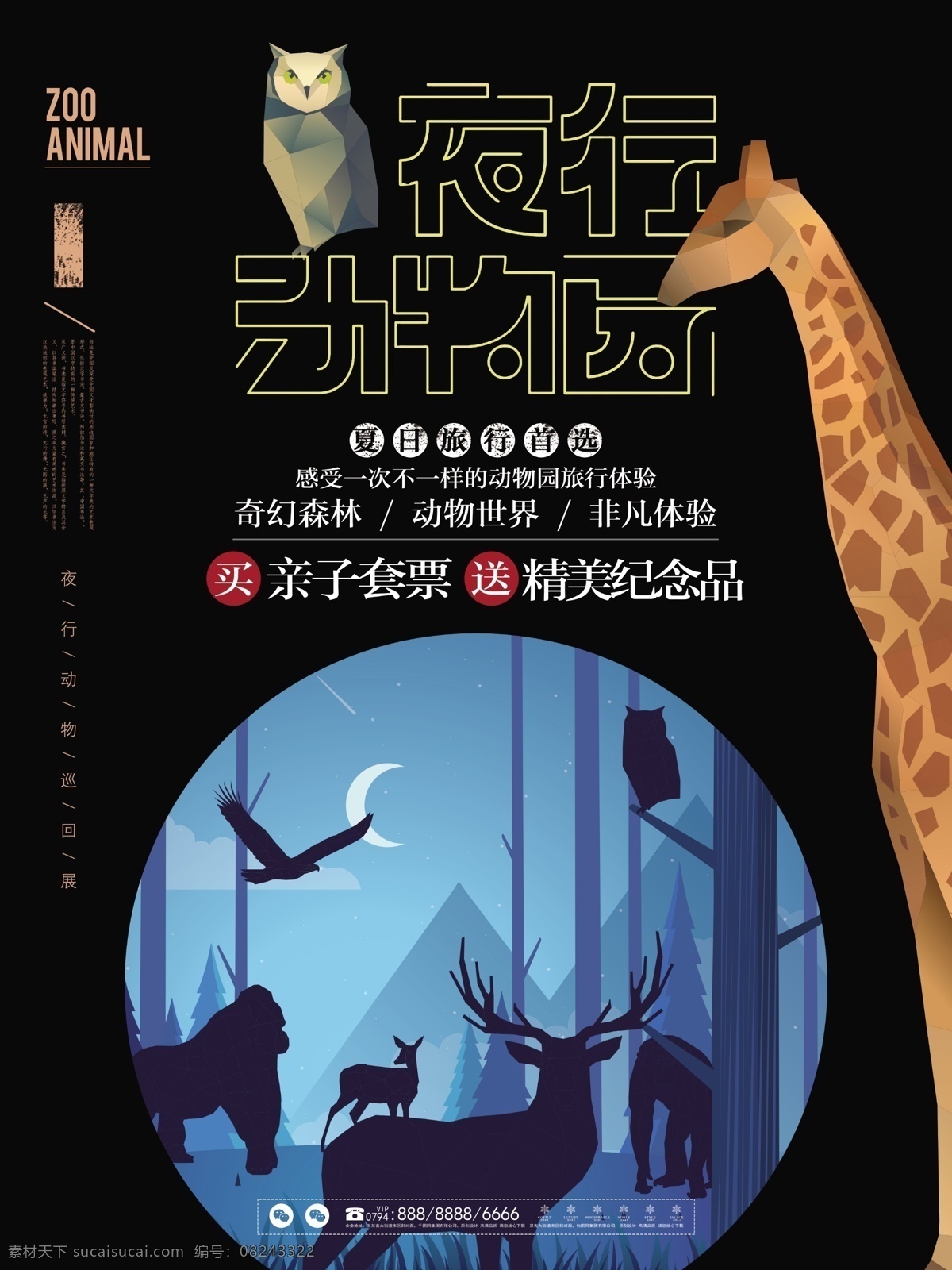 夜行 动物园 简约 简洁 旅行 宣传 促销 海报 动物 旅游 展板 野生动物 暑假 暑期