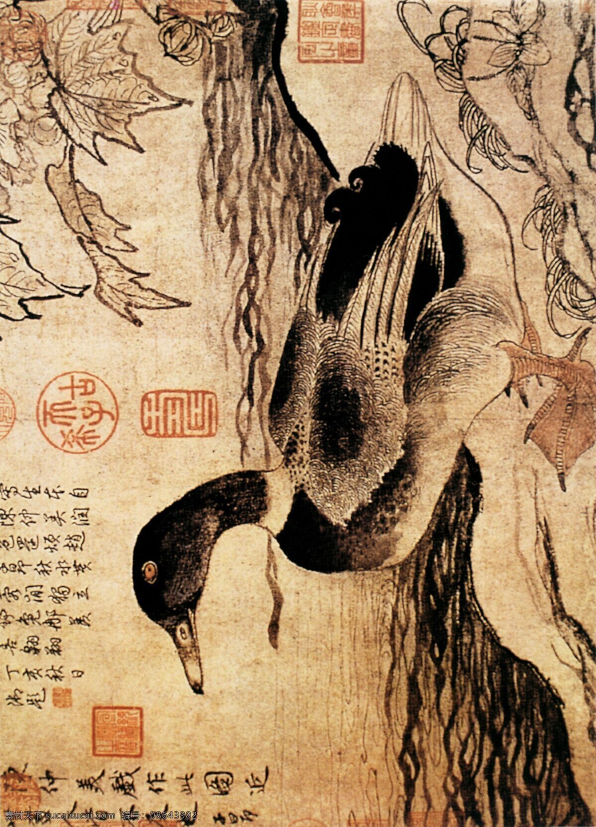 中国 传世 名画 花鸟画 鸭子 中国传世名画 古典花鸟画 文化艺术