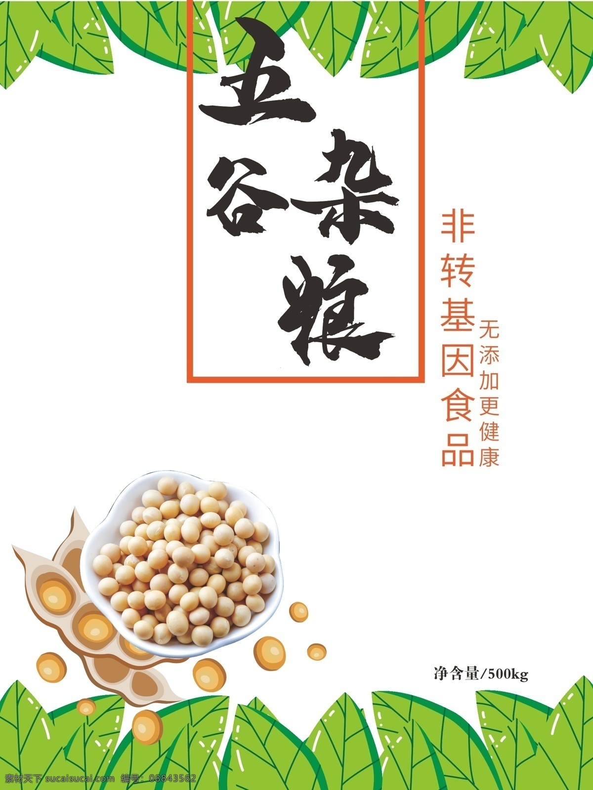 绿色 非 转基因 五谷杂粮 包装 豆类 杂粮 五谷
