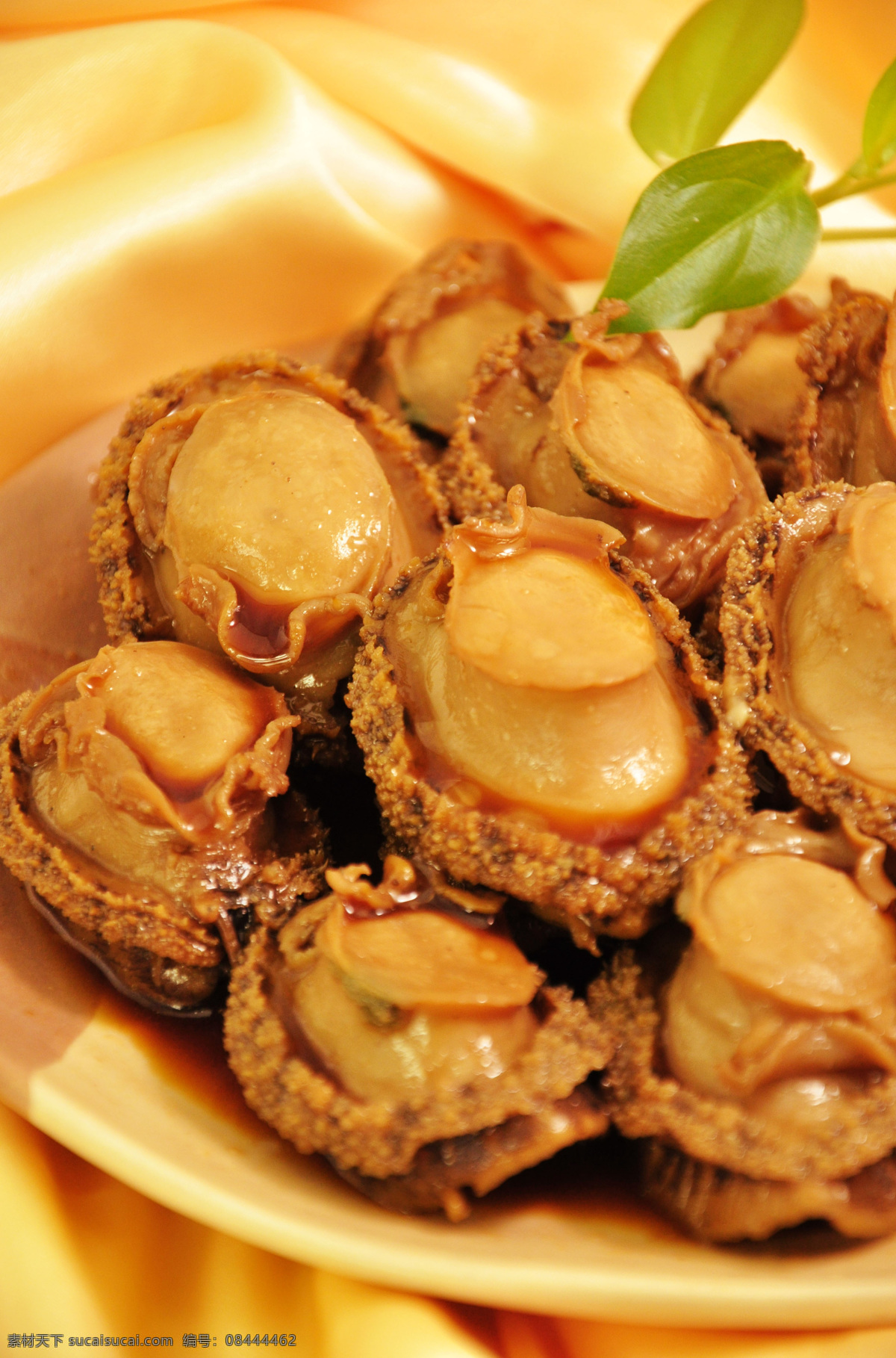 鲍鱼 海鲜 高档菜 美味 菜肴 菜谱 传统美食 餐饮美食