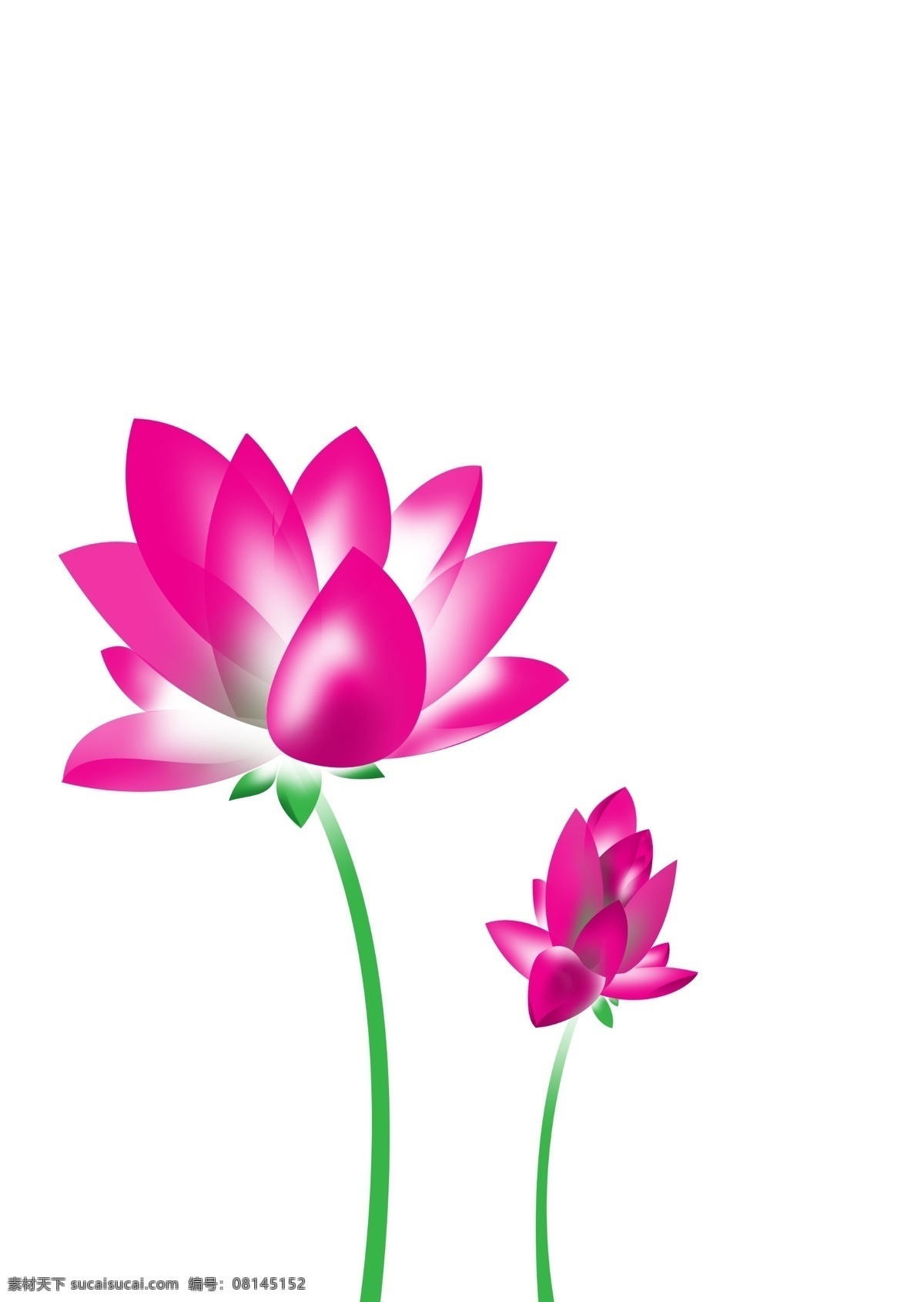广告设计模板 荷花 夏天 源文件库 清晰 模板下载 清晰荷花 超高清晰荷花 psd源文件
