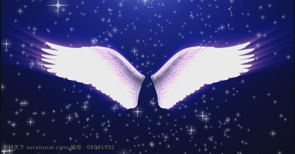 天使翅膀 天使 翅膀 白色 浪漫 特效 影视特效素材 影视编辑 多媒体 mov