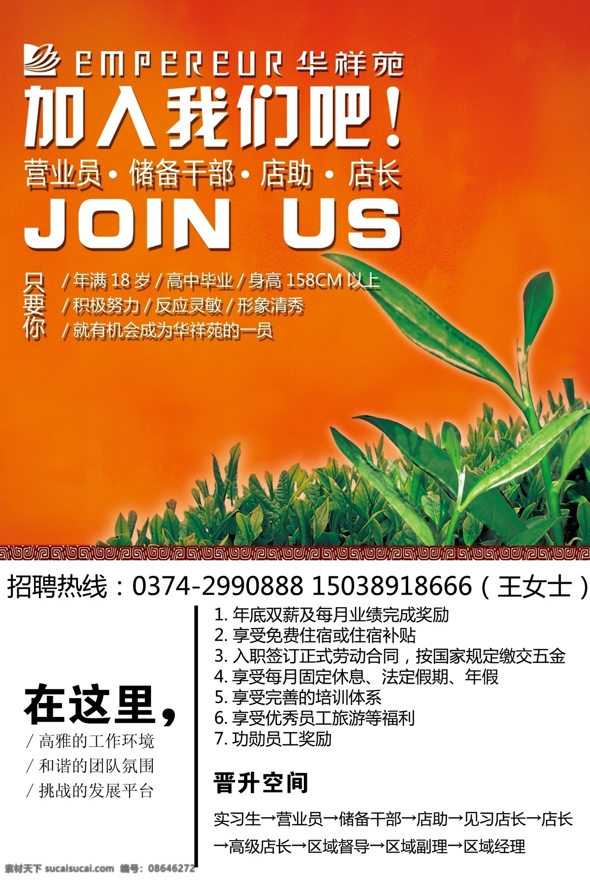 招聘 茶 茶叶 华祥苑茗茶 标志 微软雅黑 古代原素 招聘广告 茶叶招聘 dm宣传单 广告设计模板 源文件