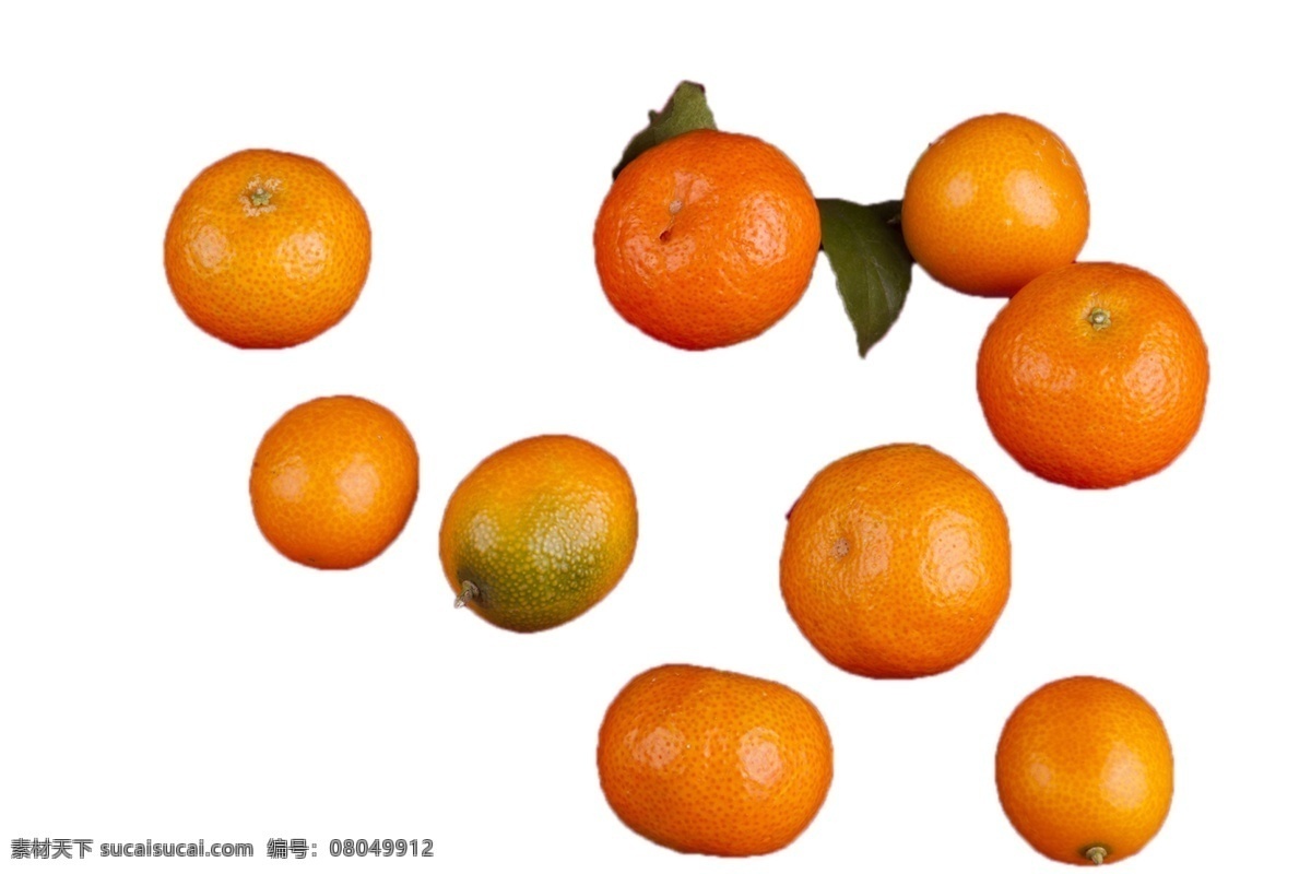 堆 新鲜 美味 橘子 带绿叶的 一堆 好吃 绿色 安全 野生 橘子树 成长 植物 美丽 水果 水分足