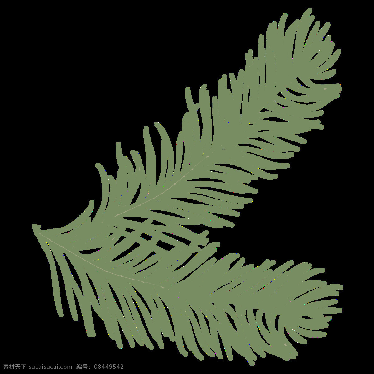绿色 树木 树叶 透明 卡通 抠图专用 装饰 设计素材