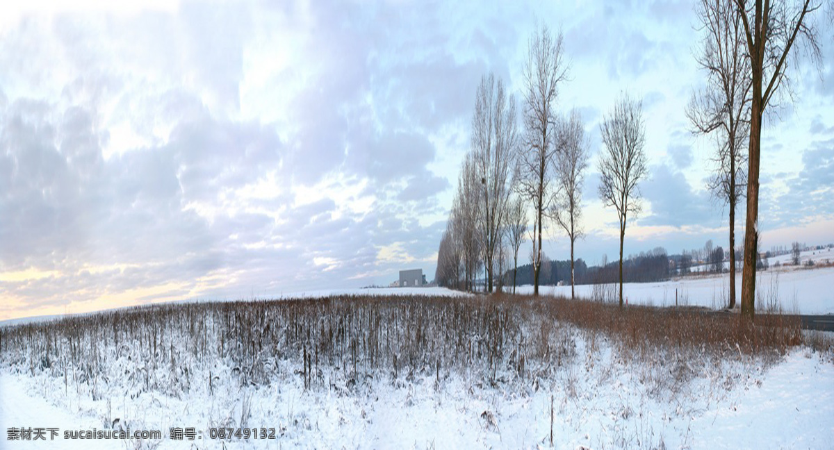 冬日雪景