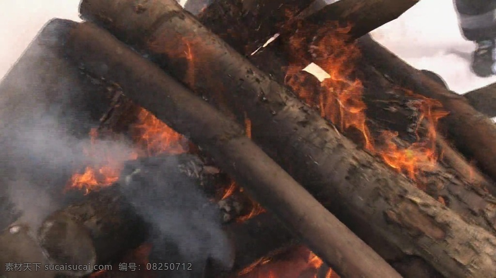 树木 柴火 燃烧 野炊 视频 视频背景 实拍视频 视频素材 视频模版 野炊燃烧视频