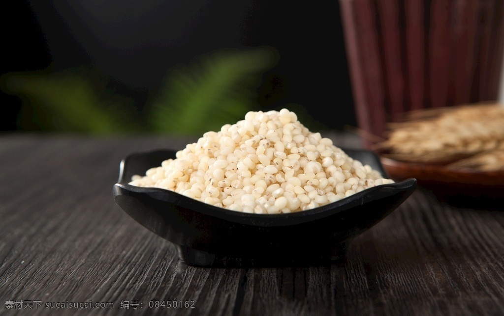 高粱米 食物摄影 实物摄影 高粱米实拍 中国风食物 杂粮 餐饮美食 食物原料