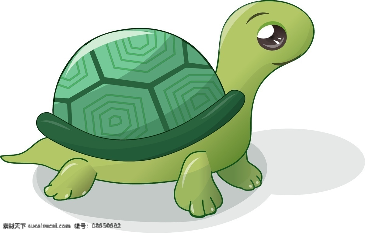 卡通精美乌龟 矢量 手绘 海洋 动物 元素 精美 乌龟 卡通设计