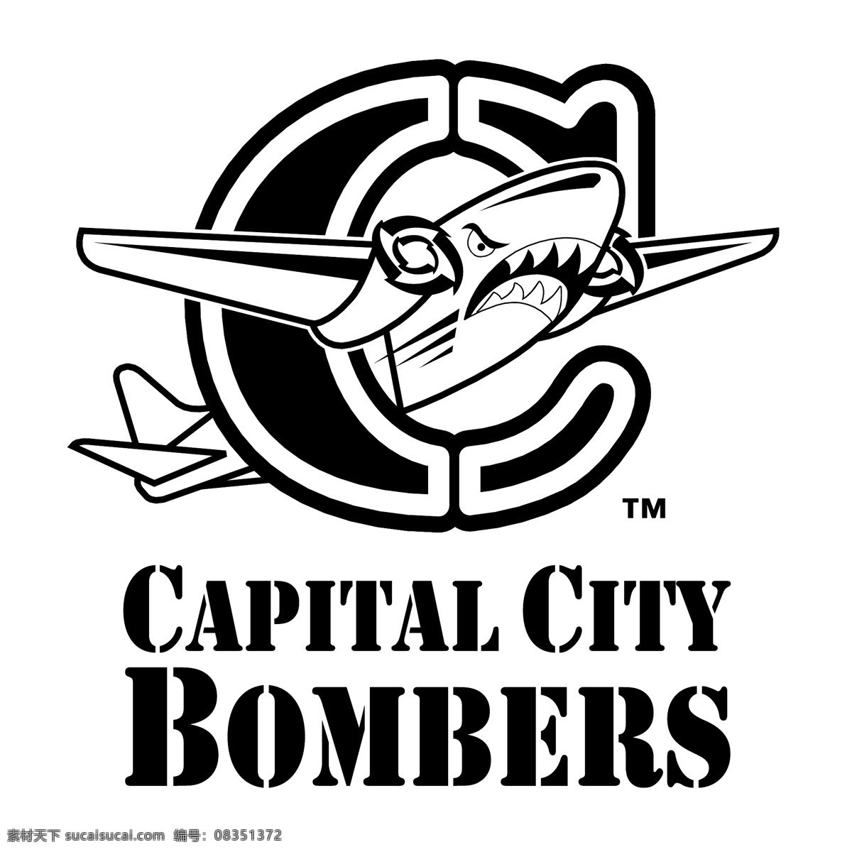 首都轰炸机 城市 资本 资本的城市 城市的轰炸机 轰炸机 首都 标志 矢量 欧洲 国家 欧洲的首都 矢量城轰炸机 图标 首都的标志 向量的首都 建筑家居