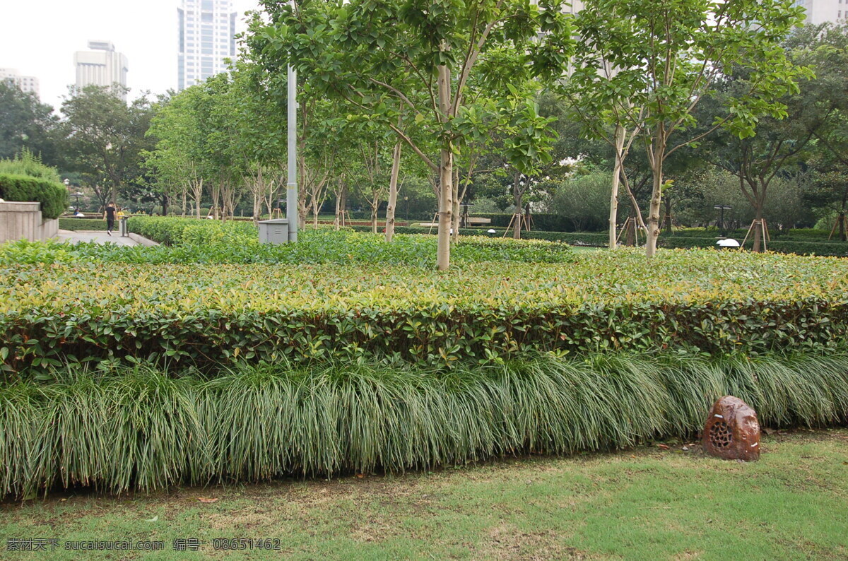 园林绿化美图 上海 市中心绿地 街头 游园 公园 葱兰 草坪 灌木 乔木 植物 白天 景观 参考 园林建筑 建筑园林