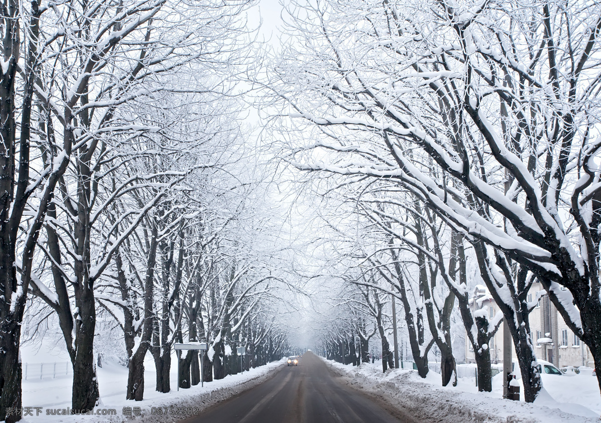 道路 两边 雪景 雪花 树 植物 雾凇 汽车图片 现代科技