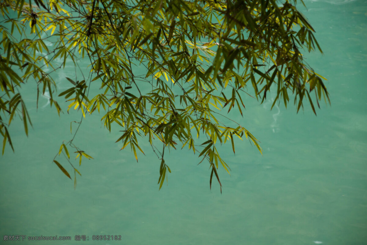 春天 竹叶 海报 背景 春水 竹叶海报背景 河水 河流 竹子 叶片 春日 波光粼粼 波光