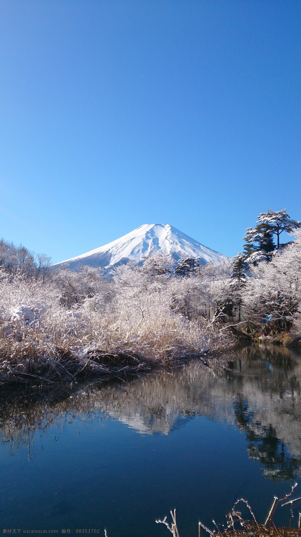 富士山高清 富士山 日本 日本富士山 蓝天 天空 雪山 积雪 高山 山峰 树木 湖水 湖面 倒影 富士山风景 旅游风光 风景图 自然景观 自然风景