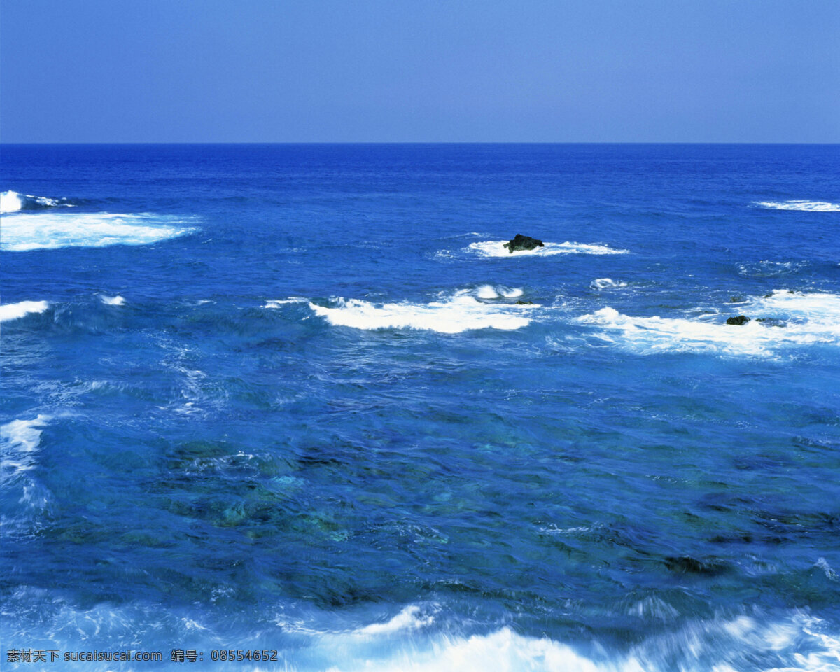 海洋图片 海洋 海燕 波涛 海浪 礁石 自然景观 山水风景