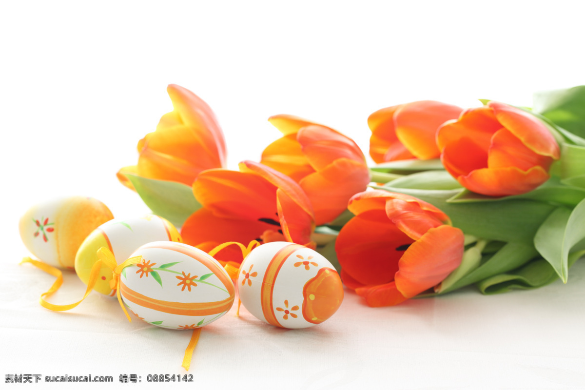 郁金香 鲜花 彩蛋 美丽鲜花 花朵 花卉 温馨 复活节 鲜花背景 鸡蛋 花草树木 生物世界 白色