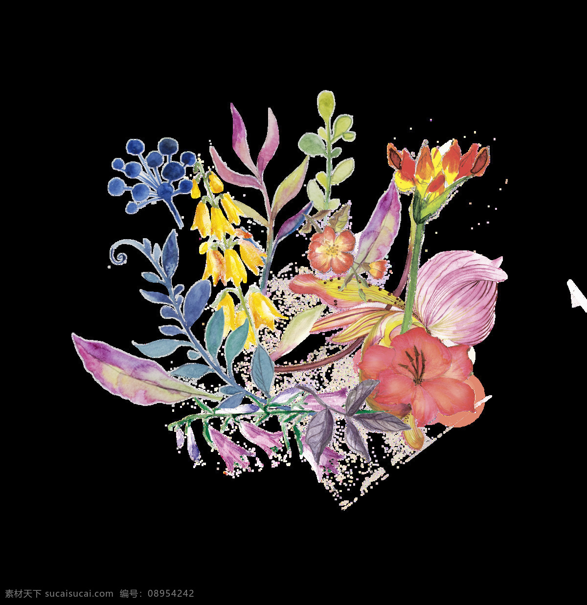 手绘 蓝色 野果子 透明 黄色 紫色 玫红色 扶桑花 透明素材 免扣素材 装饰图片