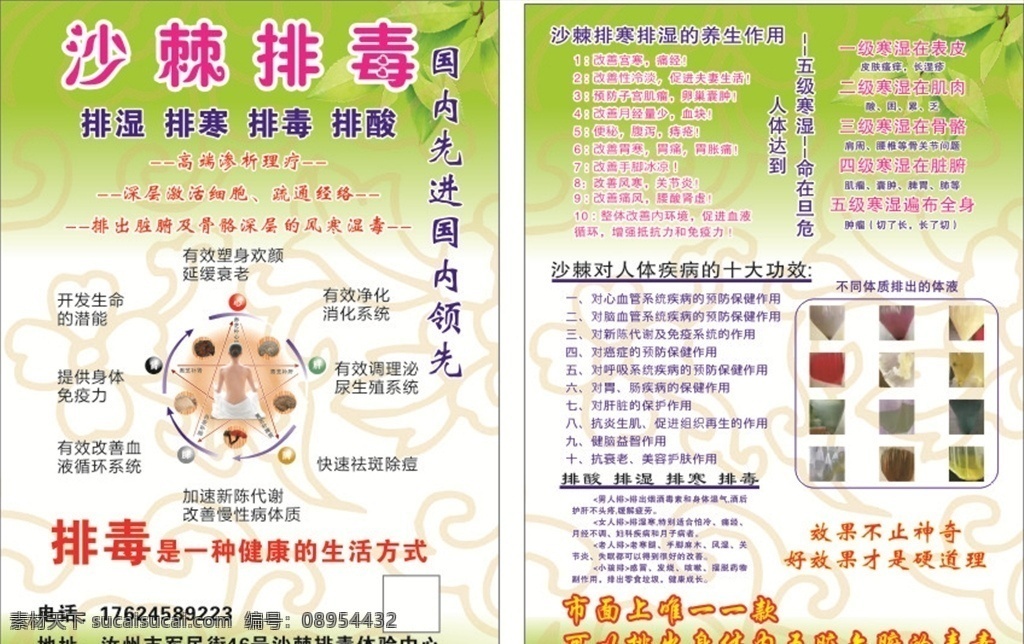 美容 彩页 排毒 沙棘 护肤