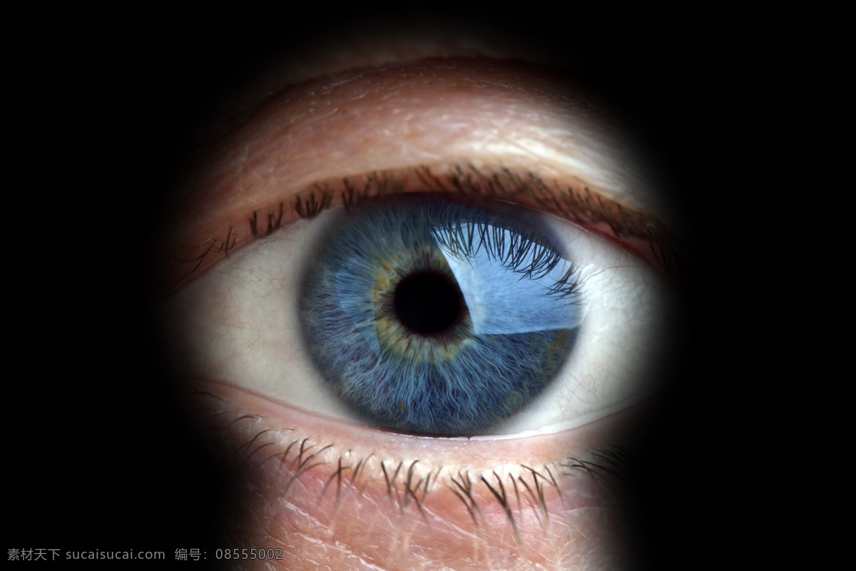 钥匙孔与眼睛 钥匙孔 眼睛 瞳孔 其他类别 生活百科 黑色
